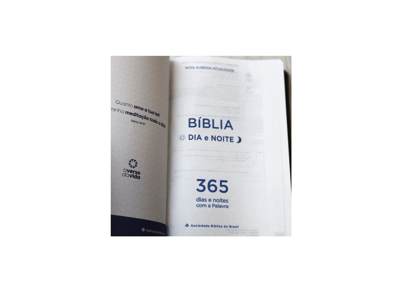 Bíblia 365 Dia e Noite | Letra Normal | NAA | Capa Cinza Luxo