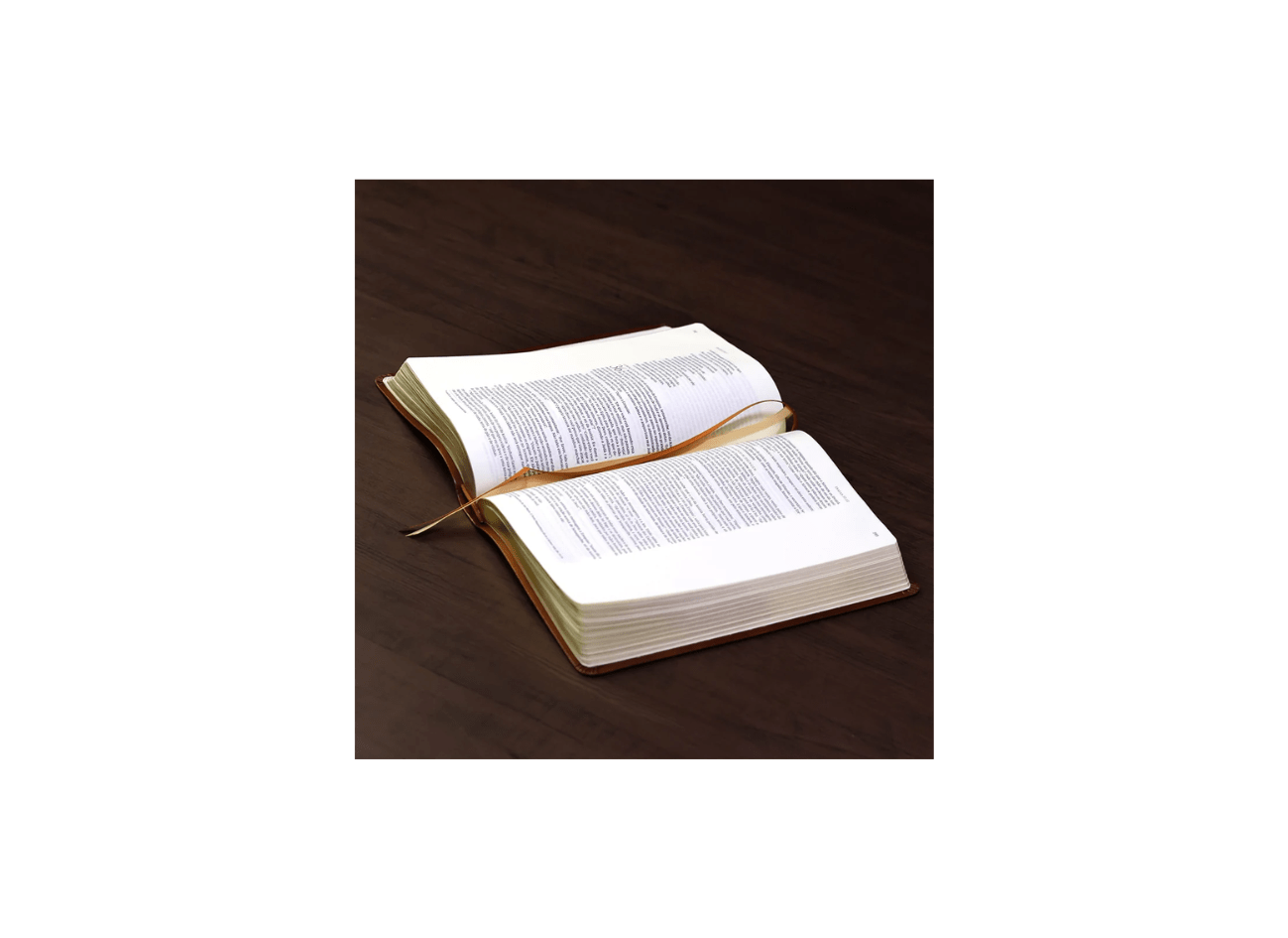 Bíblia Bible Journaling | NVI | Letra Normal | Courosoft Marrom
