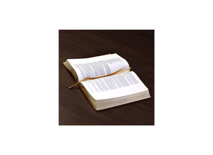 Bíblia Bible Journaling | NVI | Letra Normal | Courosoft Marrom