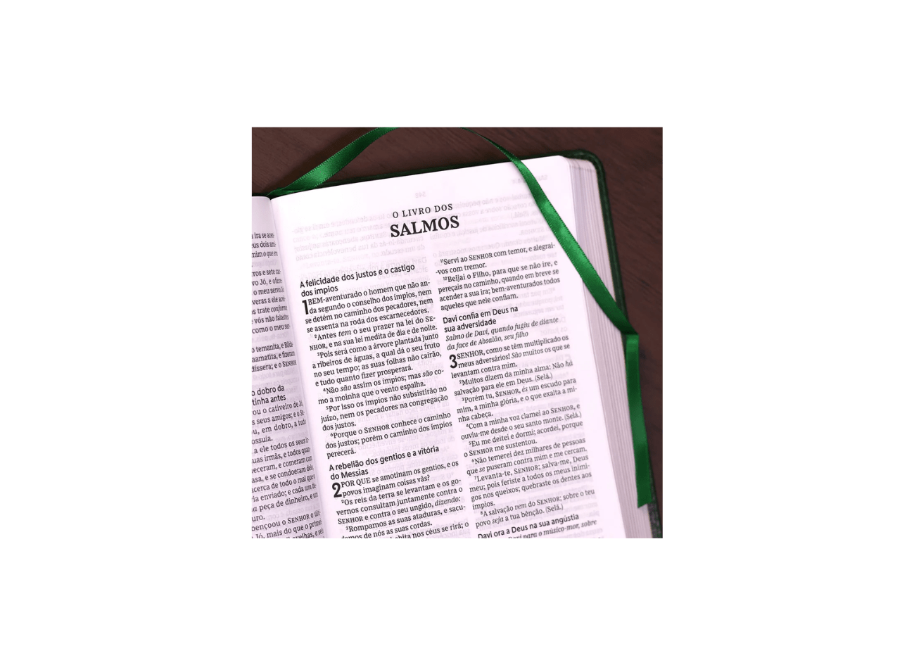 Bíblia Sagrada | ACF | Leitura Perfeita | Capa Couro Soft Verde