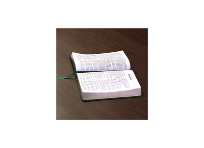 Bíblia Sagrada | ACF | Leitura Perfeita | Capa Couro Soft Verde