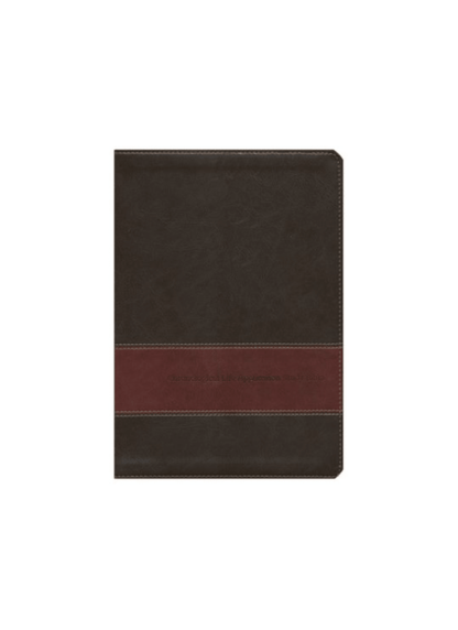 NLT Chronological Life Application Study Bible | Leatherlike Brown/Tan