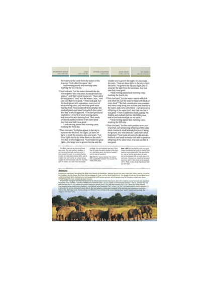 NLT Chronological Life Application Study Bible | Leatherlike Brown/Tan