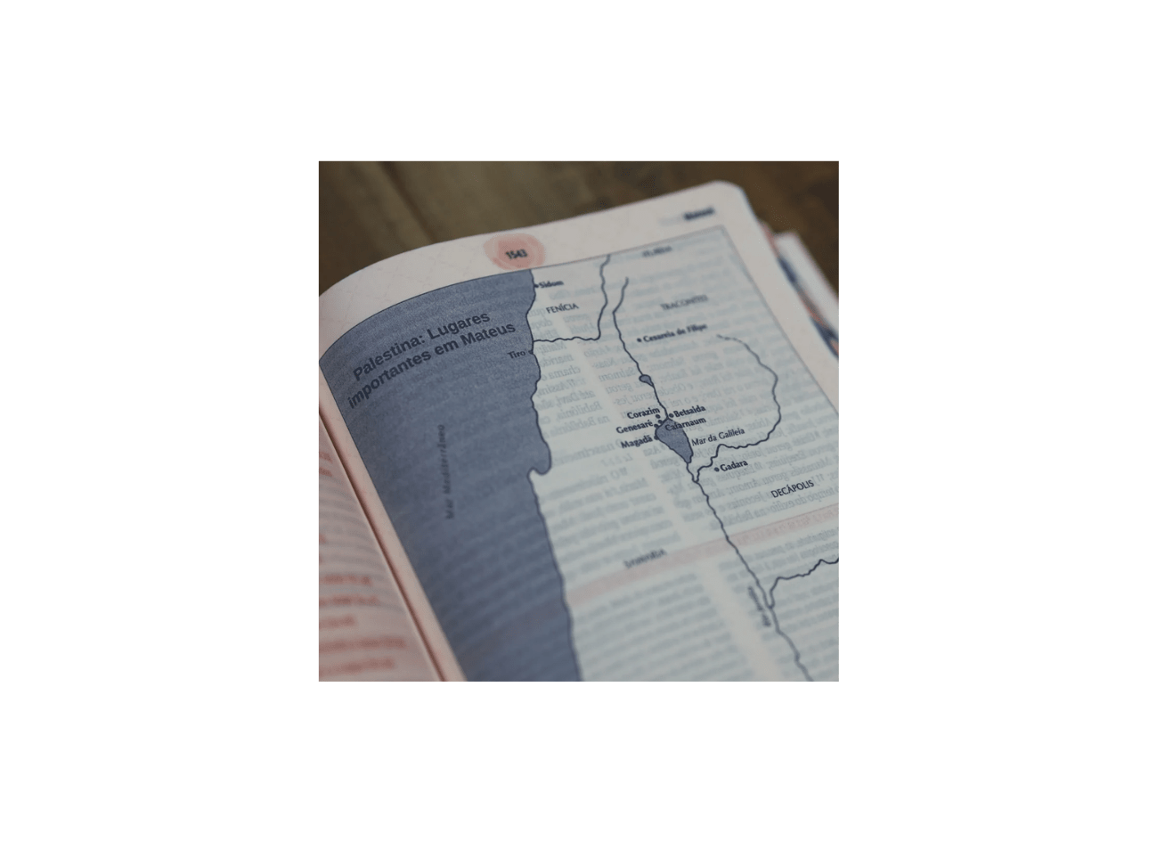 A Bíblia da Mulher | Portátil | NAA | Capa Azul Tulipa