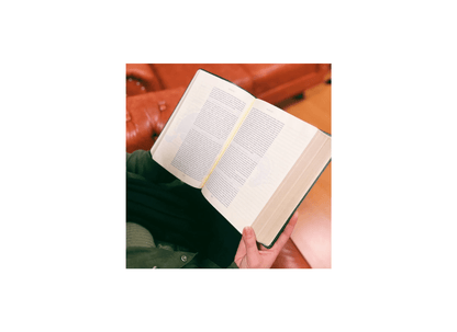 The Purpose Book | A21 | Letra Normal | Espaço Para Anotações | Capa Couro Soft Verde