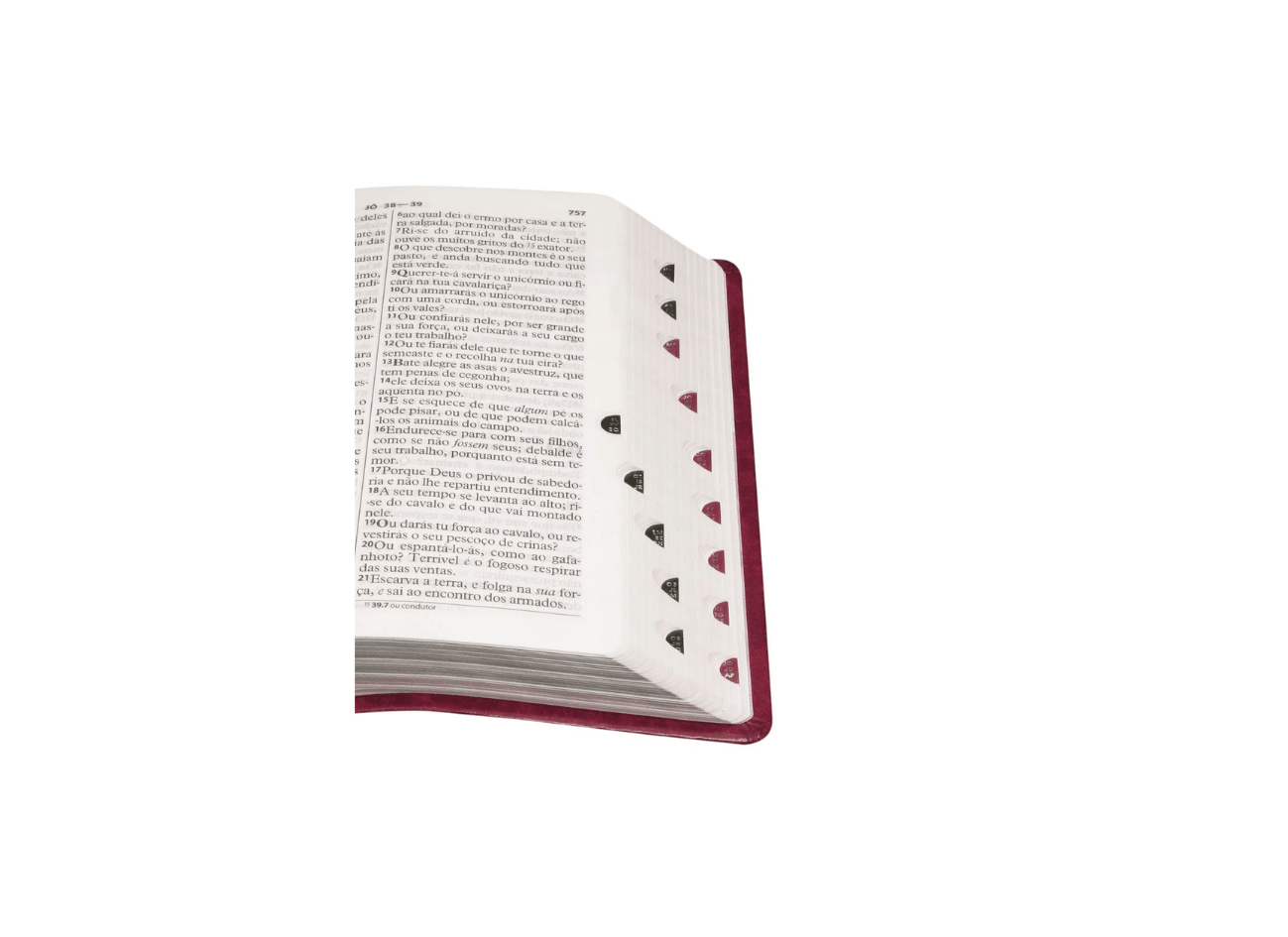 Bíblia Sagrada | Letra Gigante | ARC | Capa Couro Púrpura Nobre Luxo | c/ Índice