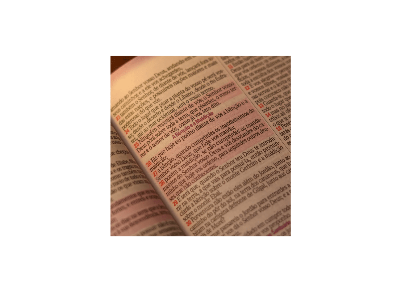 Bíblia Sagrada Rei Leão Rosa | ARC | Letra Gigante | Harpa Avivada e Corinhos | Capa Dura Carteira