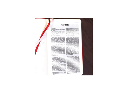 Bíblia Sagrada | NVI | Leitura Perfeita | Capa Couro Soft Rosado