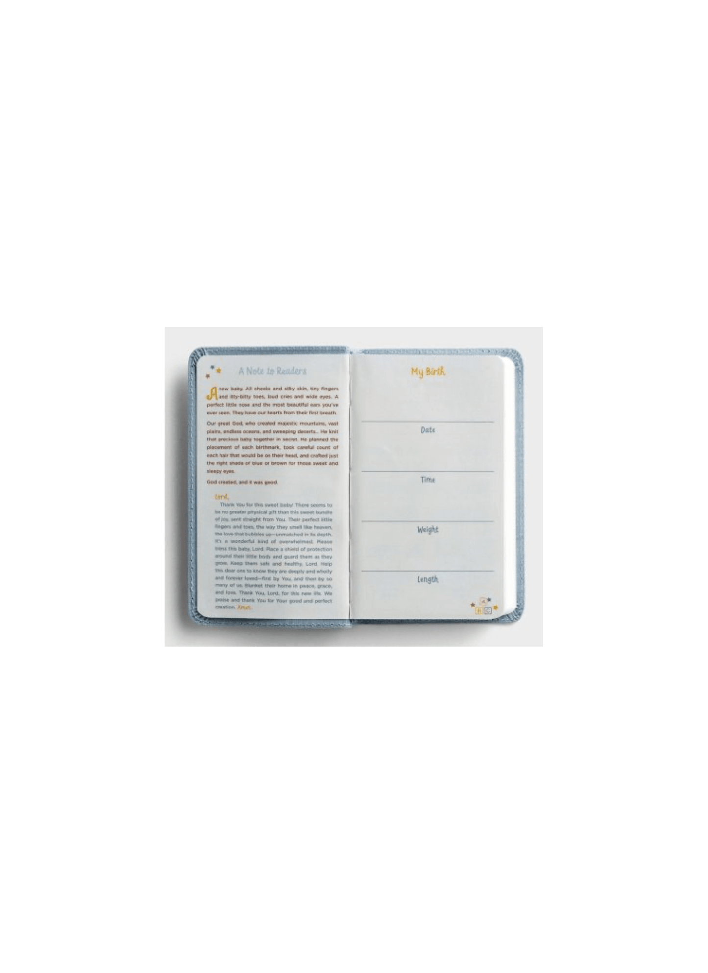 Wonderfully Made: Baby Boy's First Bible