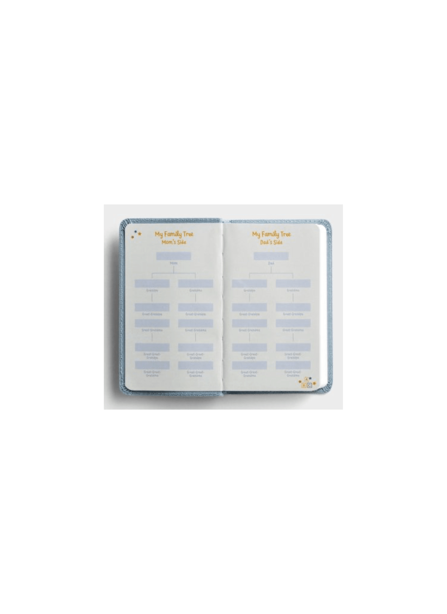 Wonderfully Made: Baby Boy's First Bible