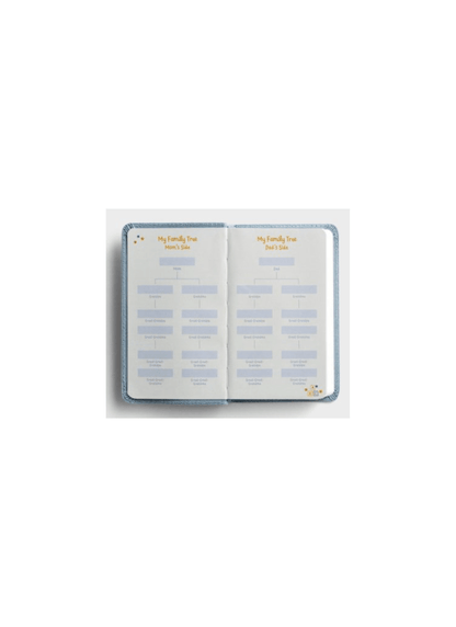 Wonderfully Made: Baby Boy's First Bible