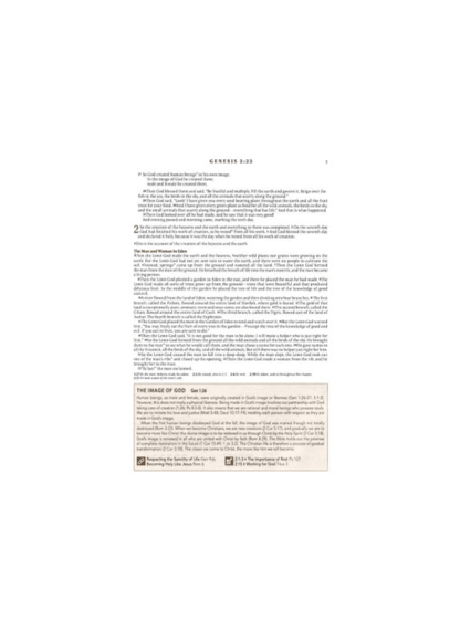 NLT Spiritual Growth Bible | Soft leather floral with embroidery