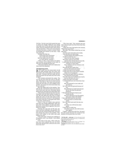 Holy Bible Easy to Read Version (ERV) | Green/Tan