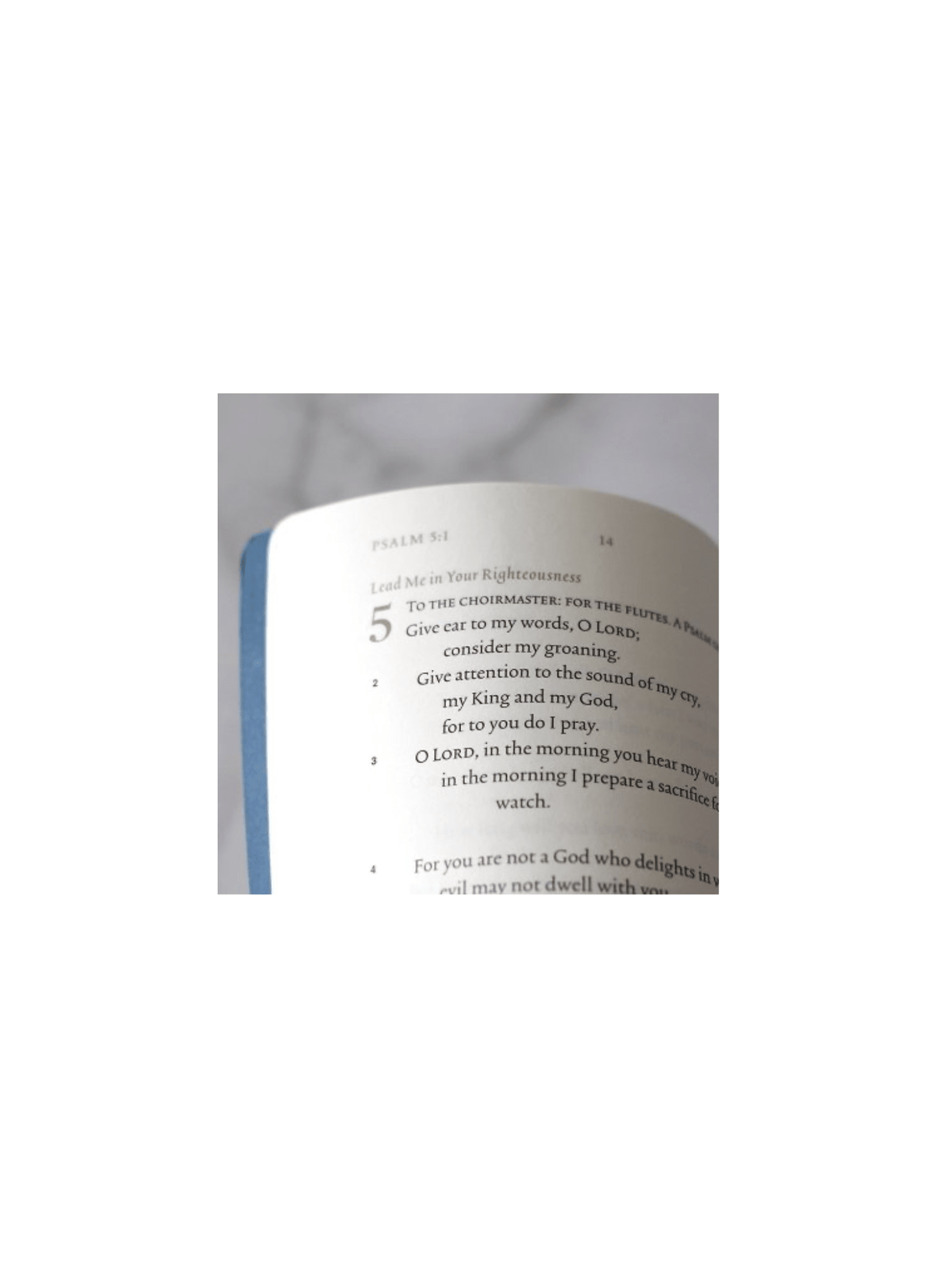 Psalms ESV Illuminated Scripture Journal