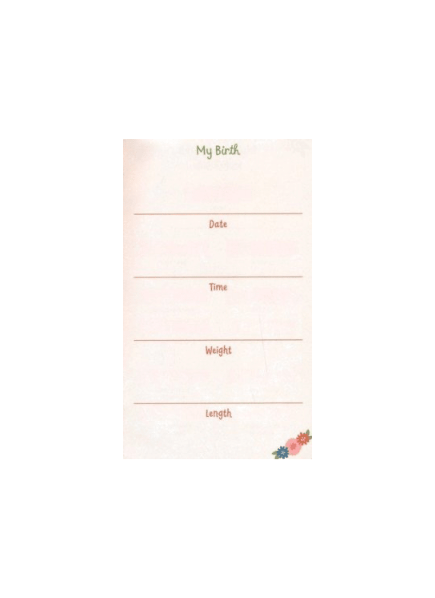 Wonderfully Made: Baby Girl's First Bible