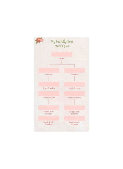Wonderfully Made: Baby Girl's First Bible