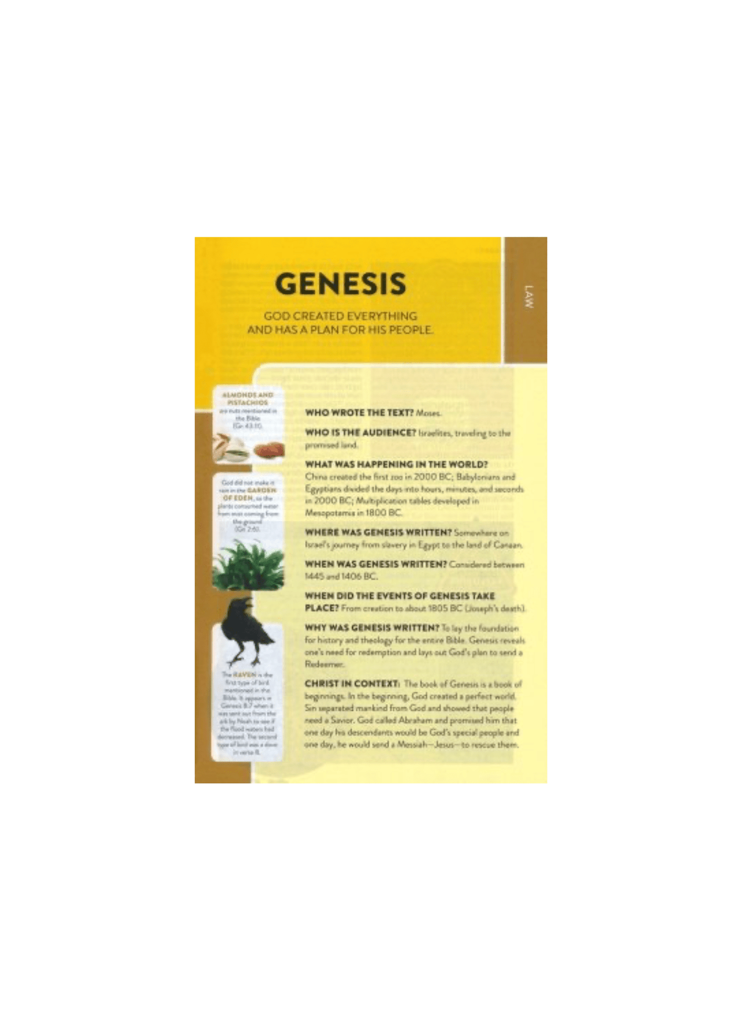 CSB Explorer Bible for Kids | Hardcover