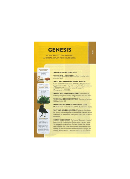 CSB Explorer Bible for Kids | Hardcover