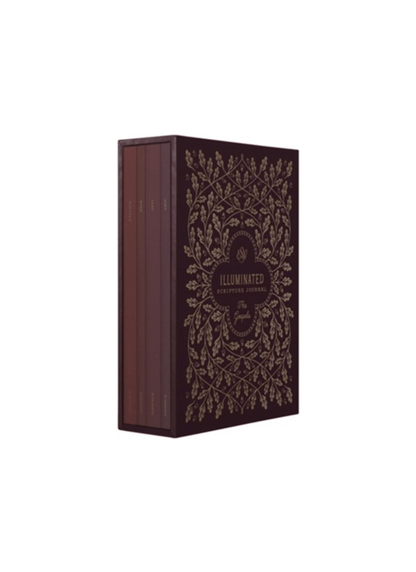 ESV Illuminated Scripture Journal | Gospels Set