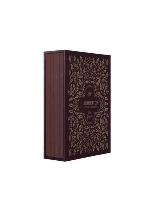 ESV Illuminated Scripture Journal | Gospels Set 