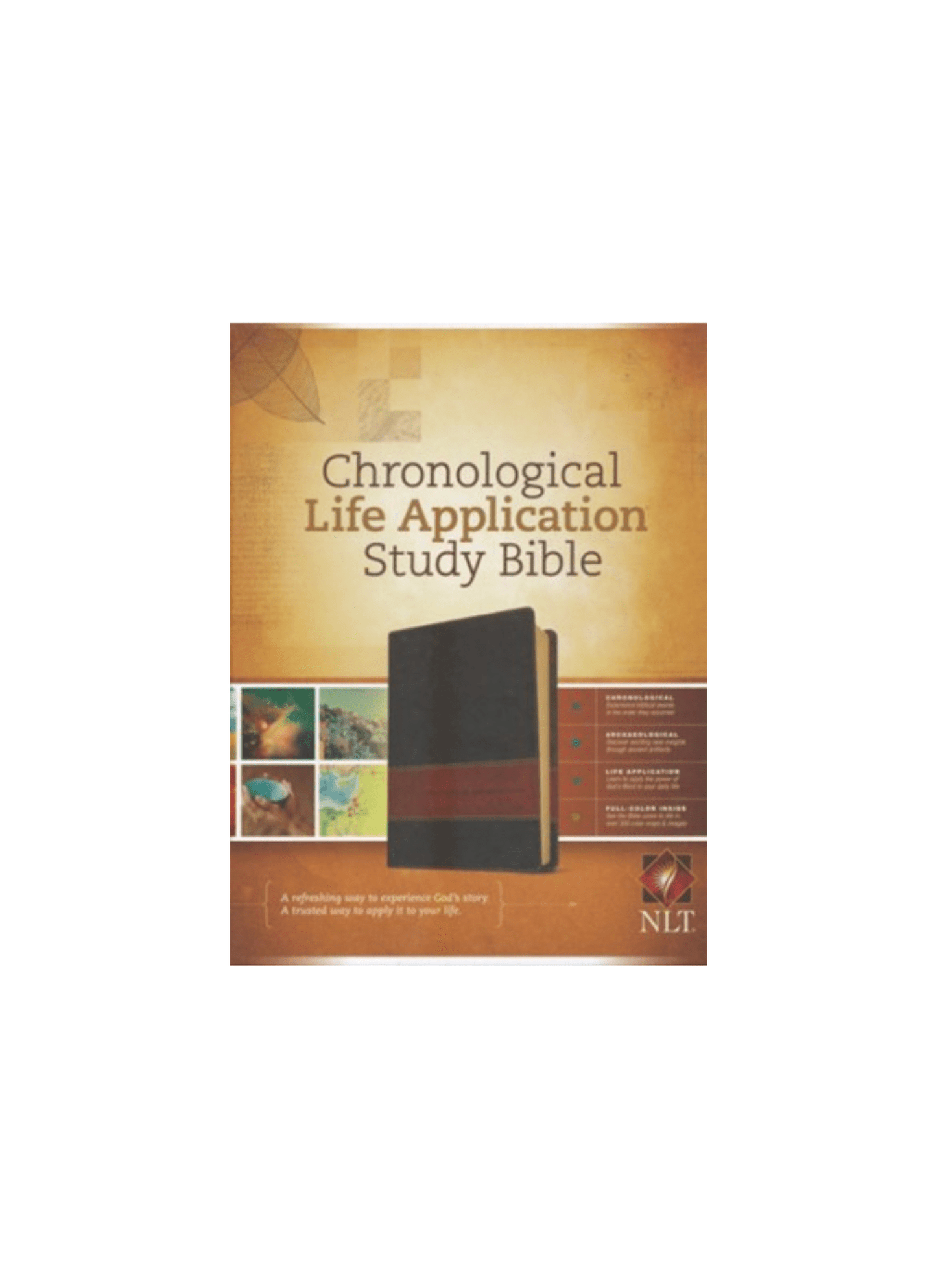 NLT Chronological Life Application Study Bible | Leatherlike Brown/Tan