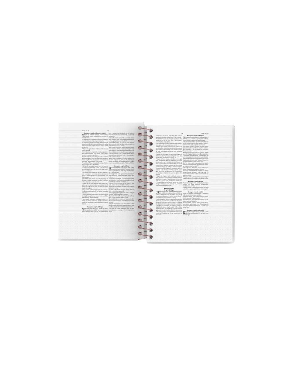 Biblia Anote Slim/NVT/ Capa Espiral Leao color