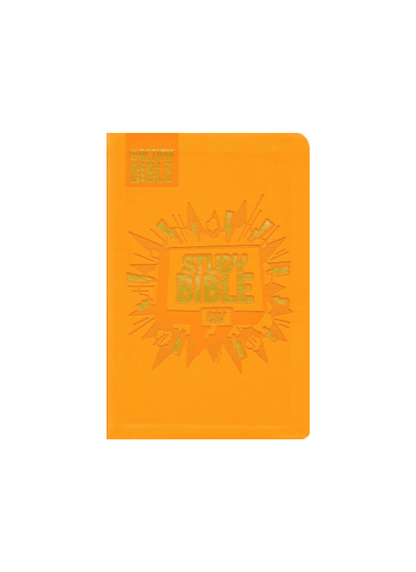 ESV Action Study Bible | Soft leather look orange