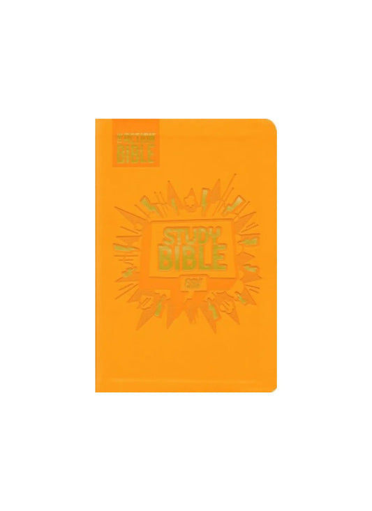 ESV Action Study Bible | Soft leather look orange 