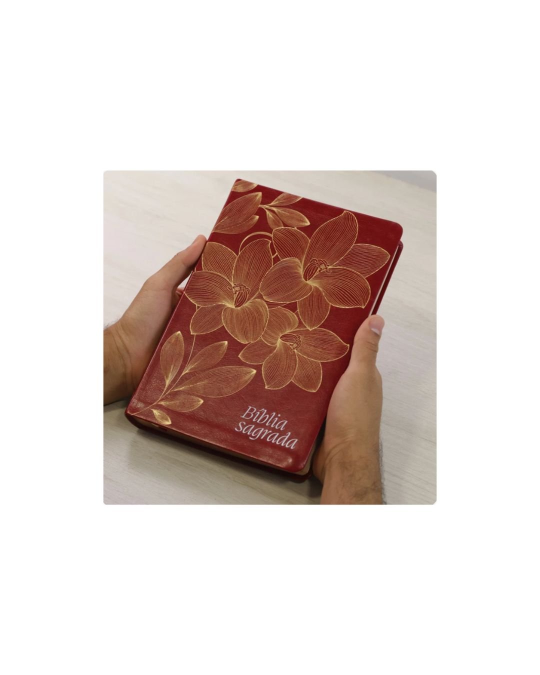 Bíblia Sagrada Leitura Perfeita | NVI | Letra Gigante | Capa Couro Soft Vinho
