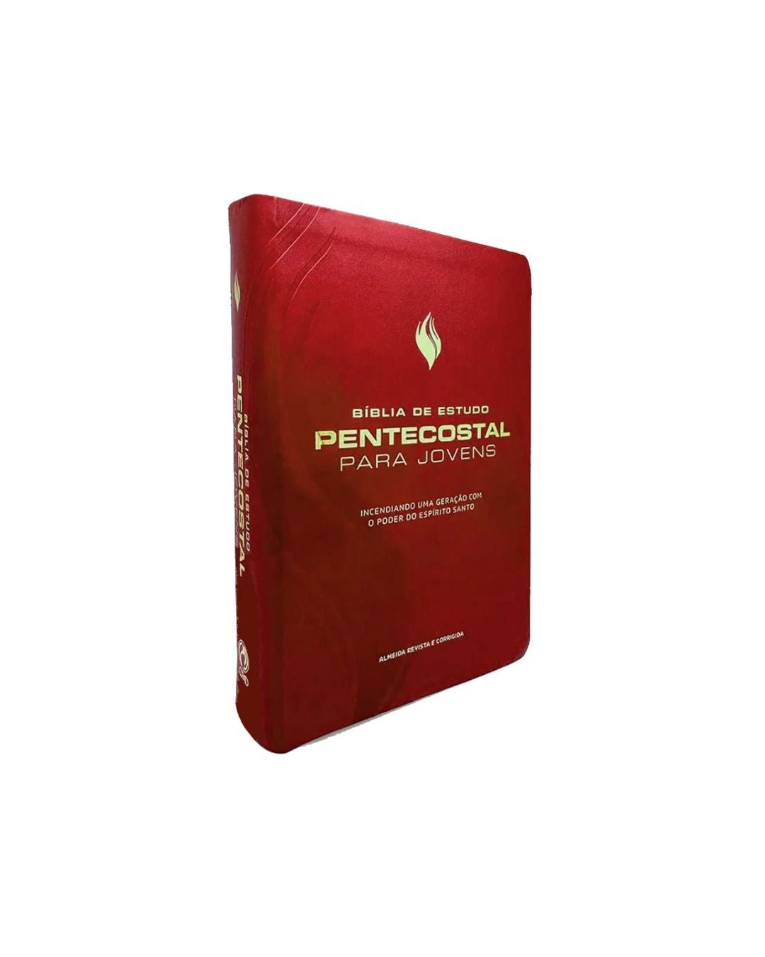 Bíblia De Estudo Pentecostal Para Jovens | ARC | Letra Média | Luxo Vinho