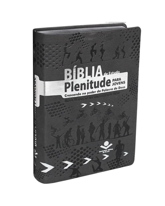 Bíblia de Estudo Plenitude para Jovens | Letra Normal | NTLH | Capa Couro Cinza Escuro