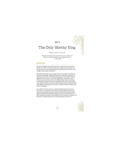 Risen - Teen Devotional: The Story of the Resurrection