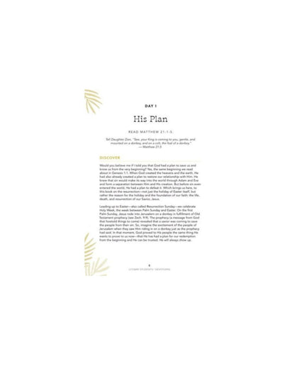Risen - Teen Devotional: The Story of the Resurrection