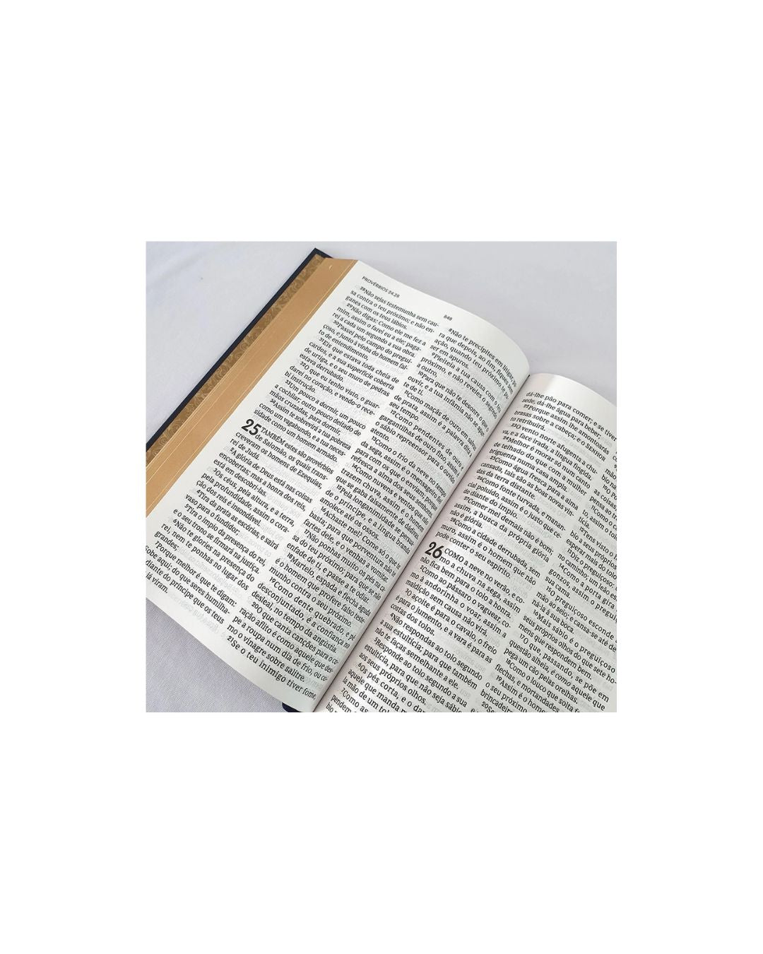 Bíblia Tesouro Sagrado | Leitura Perfeita | ACF | Letra Grande | Capa Dura