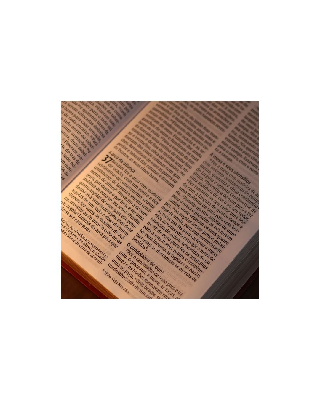 Bíblia Sagrada Leitura Perfeita | NVI | Letra Gigante | Capa Couro Soft Vinho