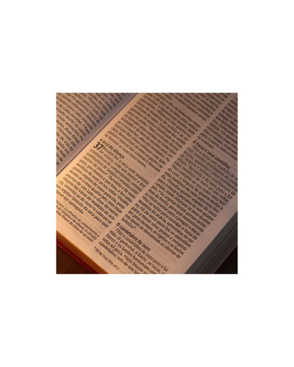 Bíblia Sagrada Leitura Perfeita | NVI | Letra Gigante | Capa Couro Soft Vinho