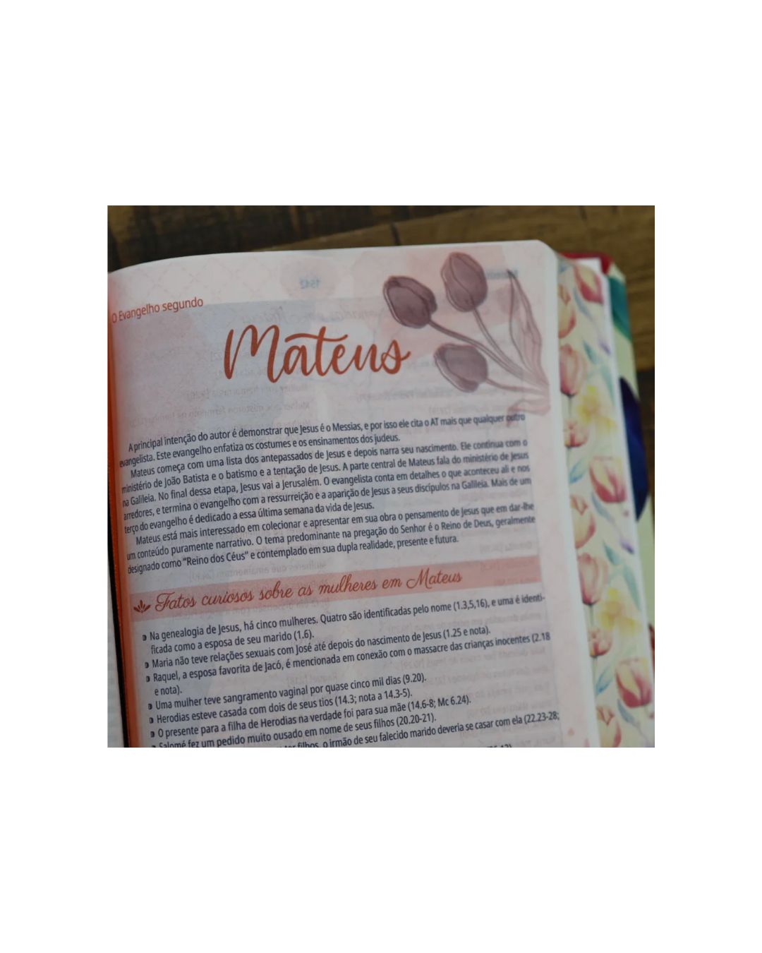 A Bíblia da Mulher | Portátil | NAA | Capa Tulipa Laranja