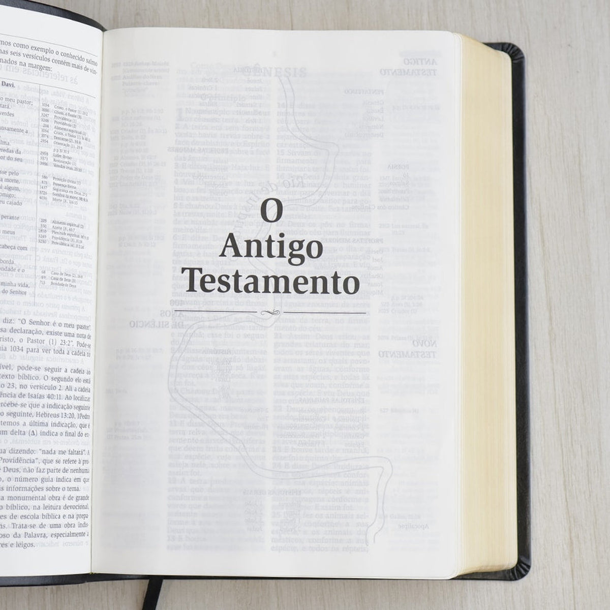 Bíblia de Estudo Thompson | AEC Letra Grande | Preta Luxo