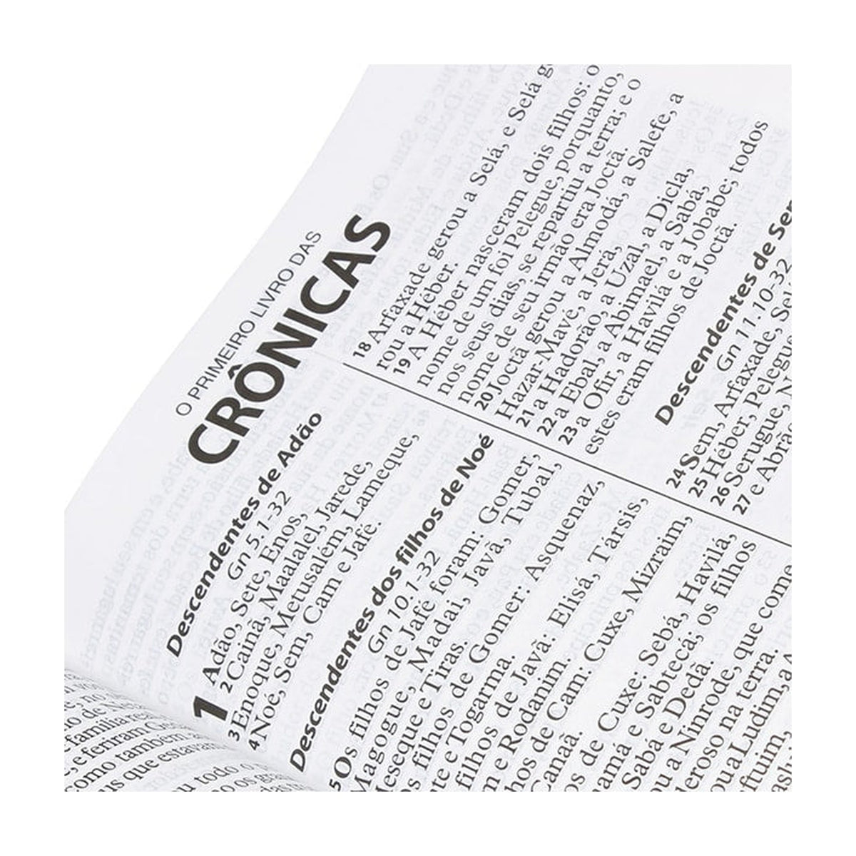 Holy Bible | Extra Giant Print | ARA | Black Luxury Cover with Index
