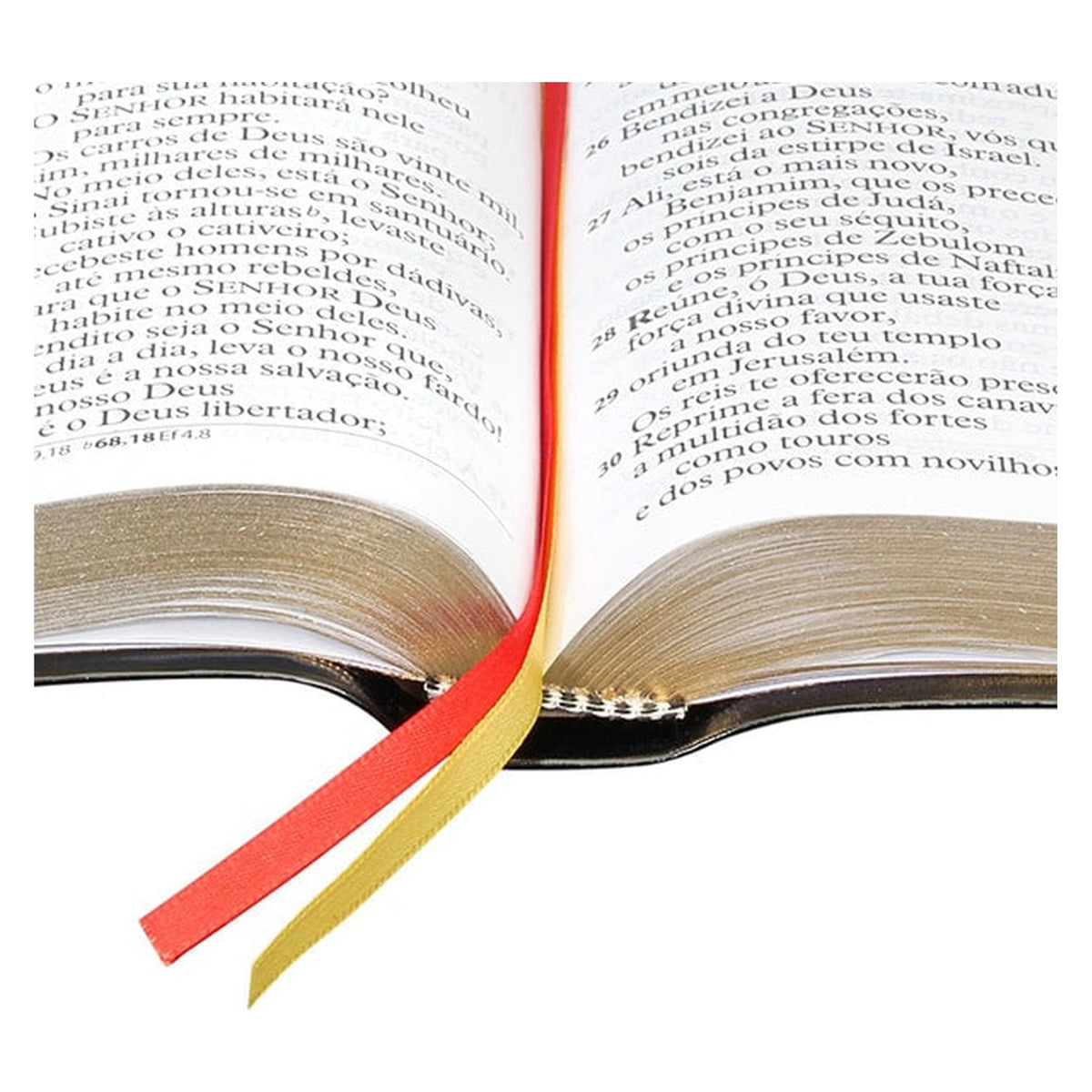 Holy Bible | Extra Giant Print | ARA | Black Luxury Cover with Index