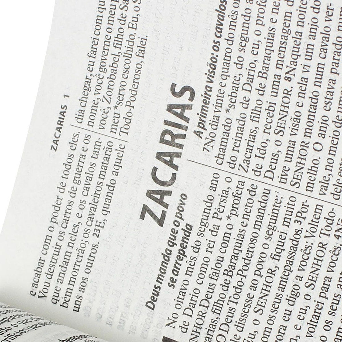 Bíblia Sagrada | Letra Gigante | NTLH | Capa Marrom Nobre