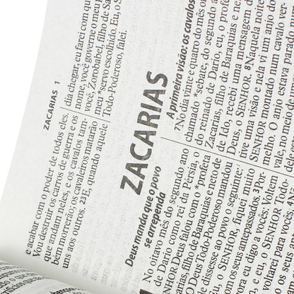 Bíblia Sagrada | Letra Gigante | NTLH | Capa Marrom Nobre