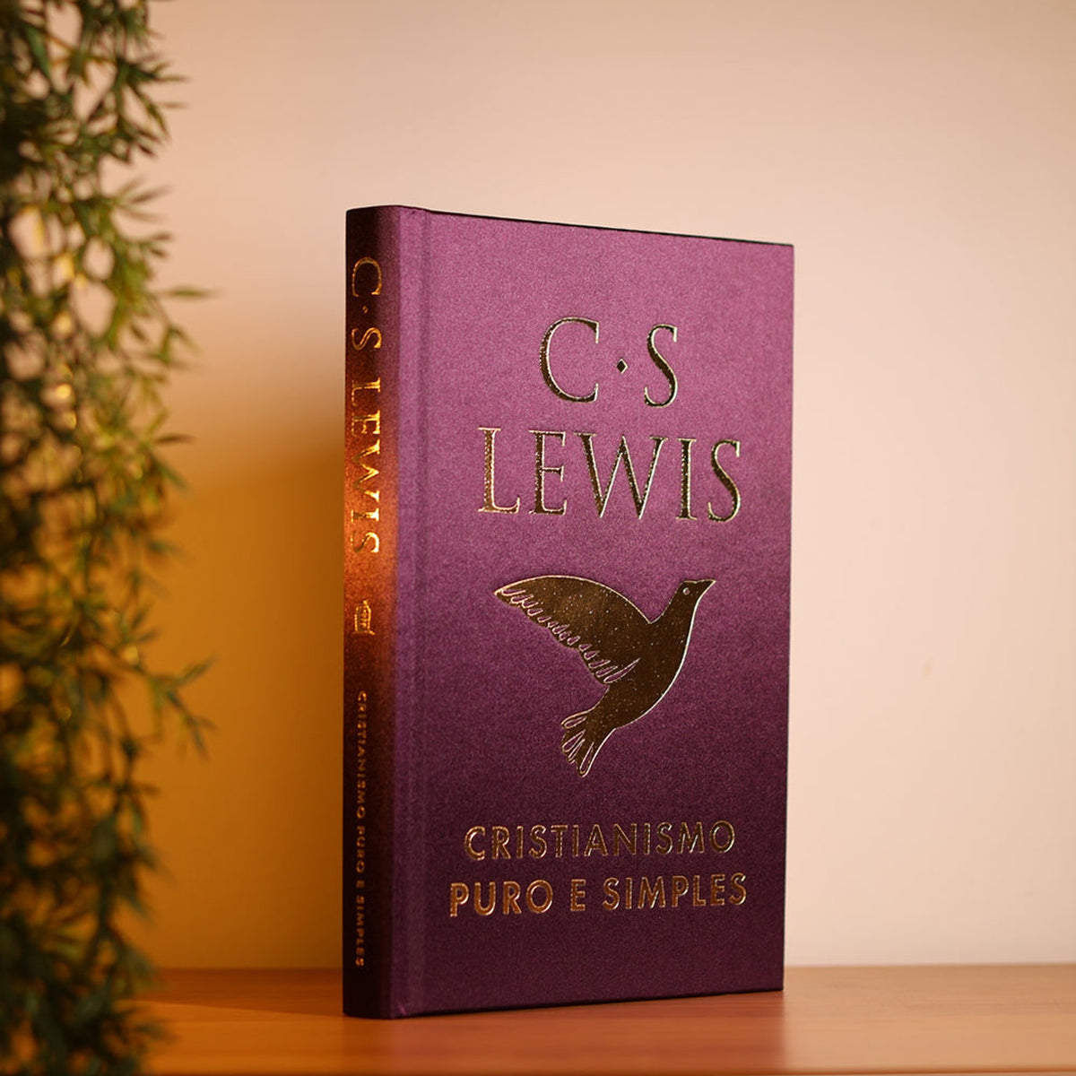 Mere Christianity | C. S. Lewis | Deluxe Edition | Cloth Cover and Magnetic Box