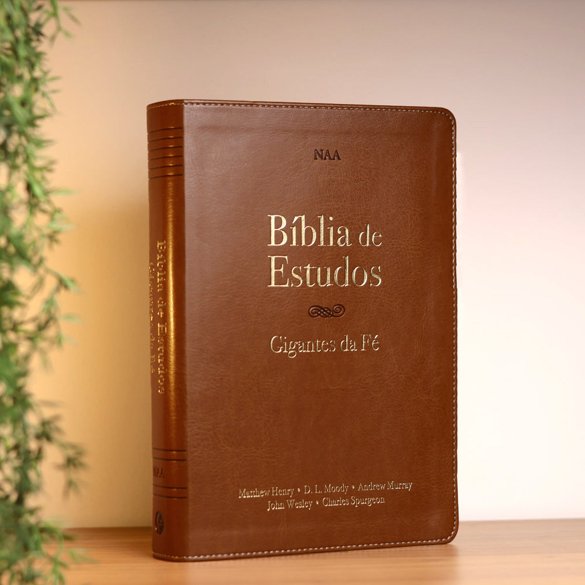 Bíblia de Estudos | NAA | Gigantes da Fé | Marrom