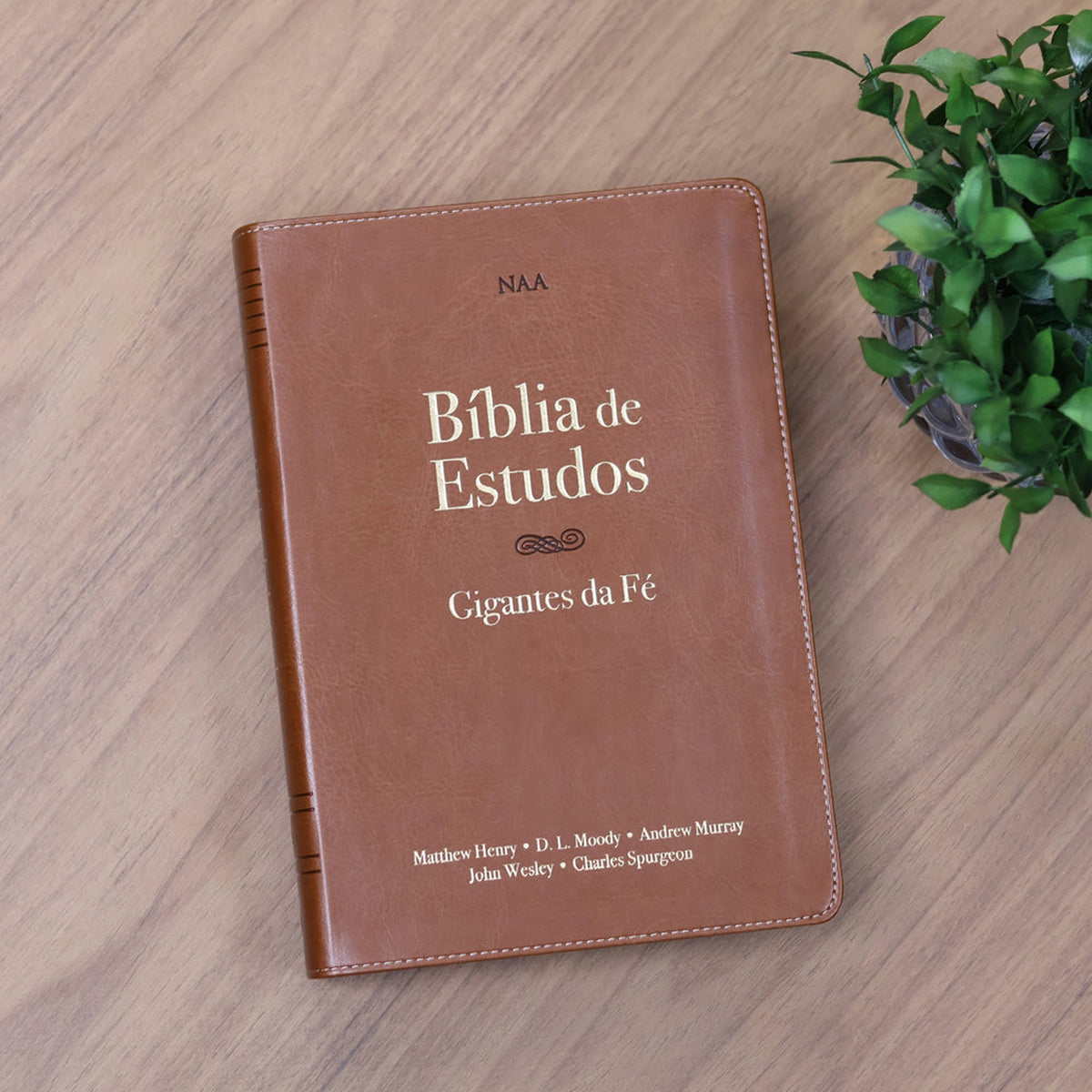 Bíblia de Estudos | NAA | Gigantes da Fé | Marrom